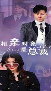 相亲对象是总裁海报