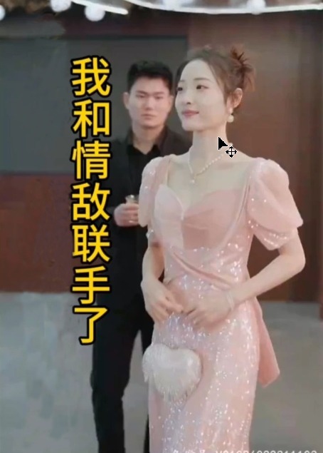 我和情敌联手了海报