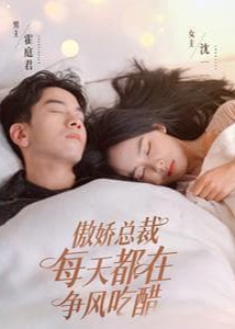 傲娇总裁每天都在争风吃醋海报