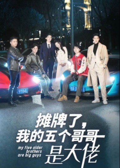 摊牌了我的五个哥哥是大佬海报