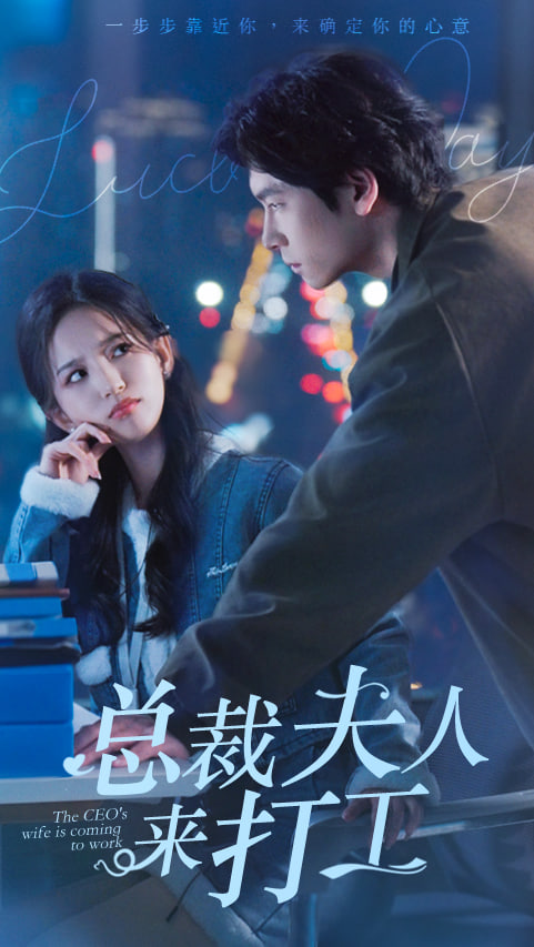 总裁夫人来打工海报