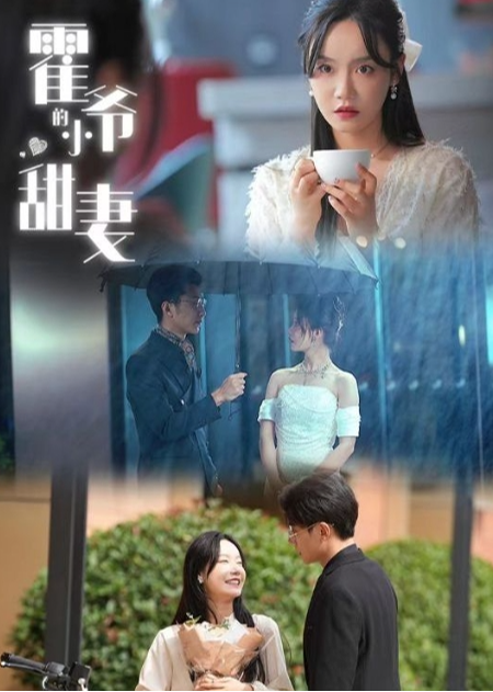 霍爷的小甜妻海报