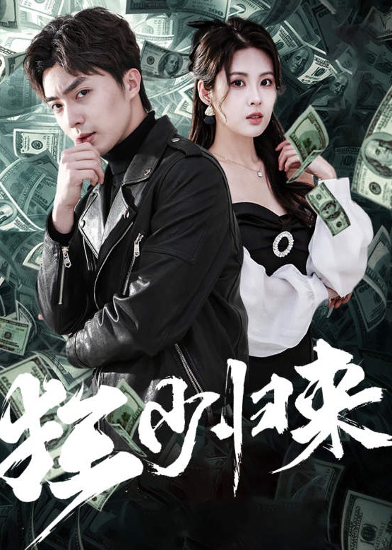 狂少归来/天骄海报