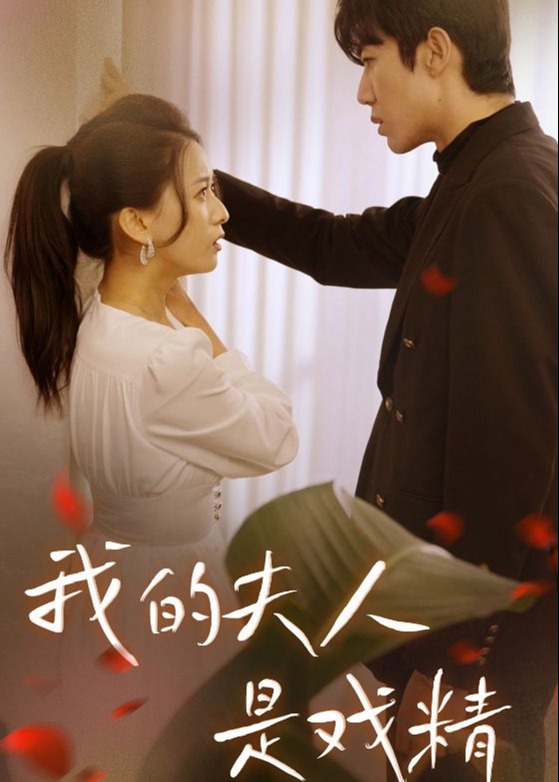 我的夫人是戏精海报