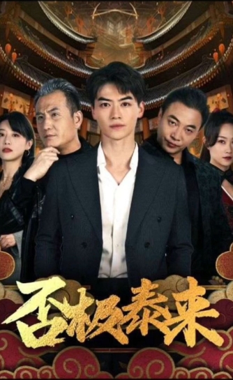 否极泰来海报