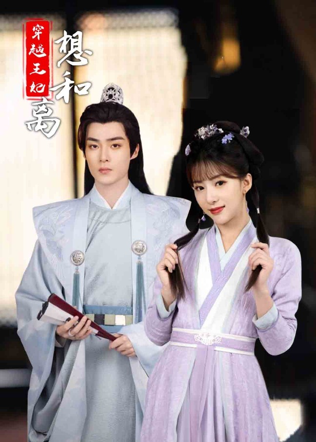 穿越王妃想和离海报