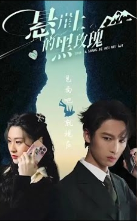 悬崖上的黑玫瑰海报