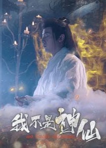 我不是神仙海报
