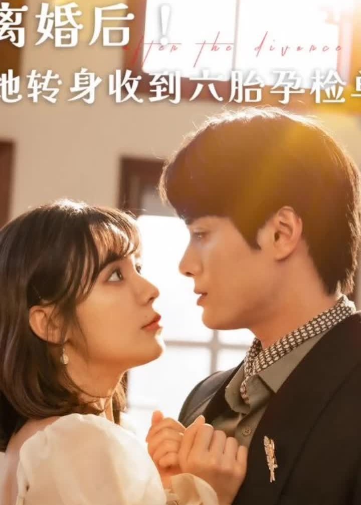 离婚后她转身收到六胎孕检单海报