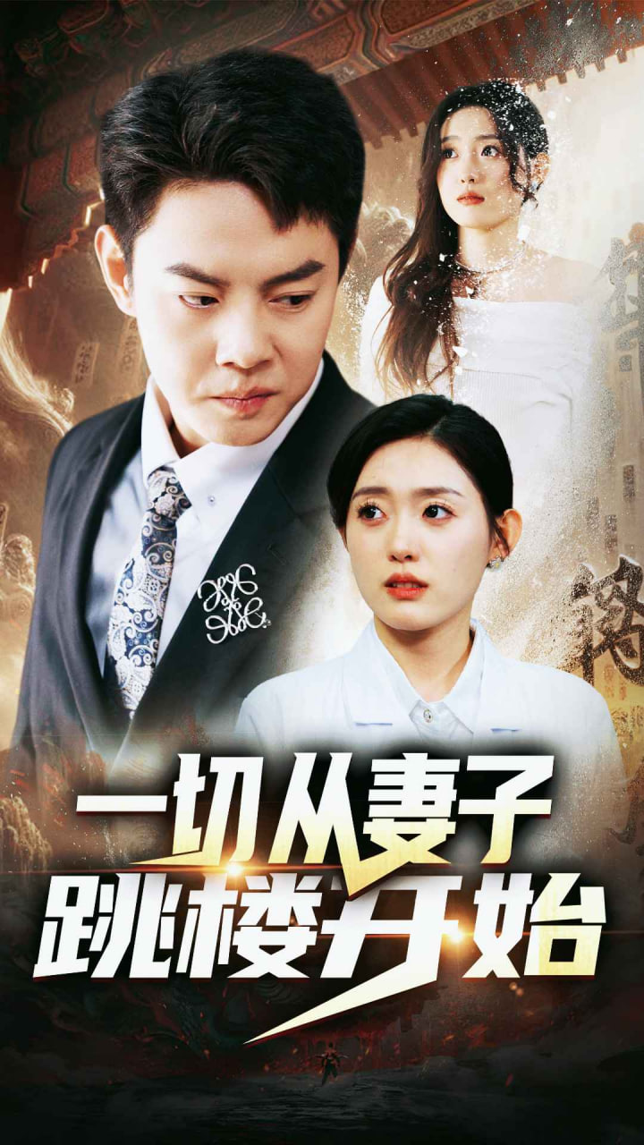 一切从妻子跳楼开始海报