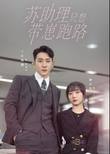 苏助理只想带崽跑路海报