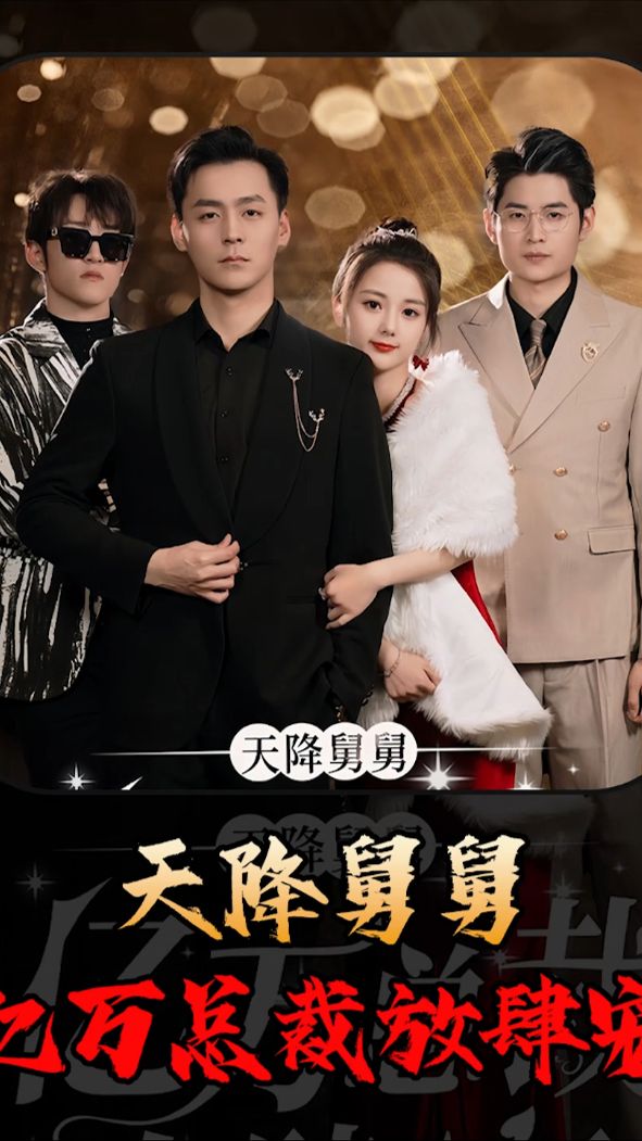 天降舅舅亿万总裁放肆宠海报