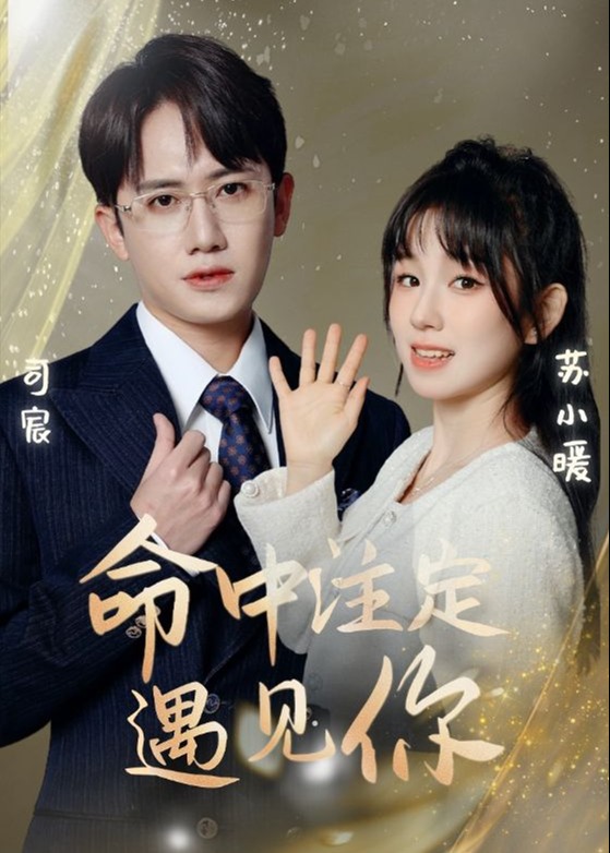 命中注定遇见你海报