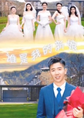 谁是我的新娘海报