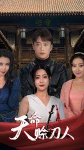 天命赊刀人海报