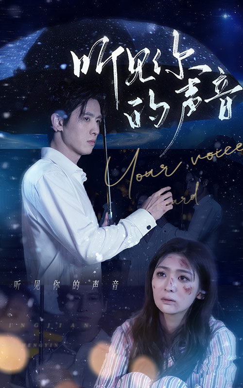 听见你的声音海报