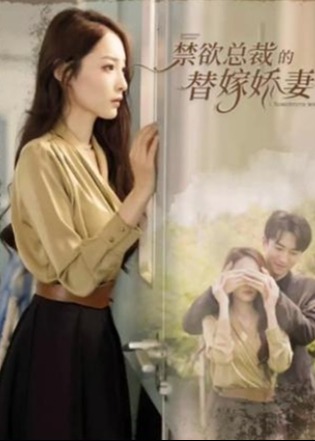 禁欲总裁的替嫁娇妻/闪婚试爱暮总的天价影后海报