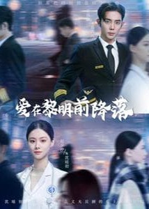 爱在黎明前降落海报