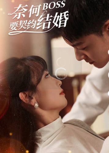 奈何BOSS要契约结婚海报