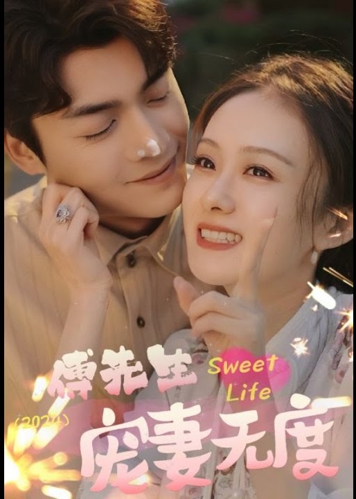 傅先生宠妻无度海报