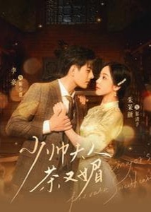 少帅夫人茶又媚海报
