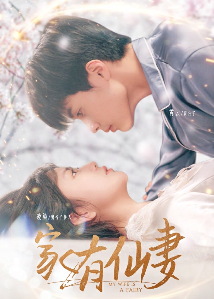 家有仙妻海报