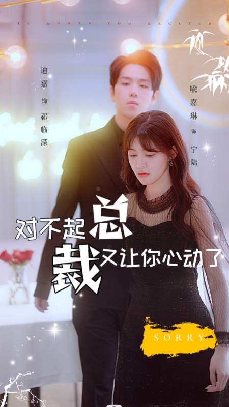 对不起总裁又让你心动了/总裁别追了我们结过婚海报
