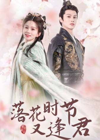 落花时节又逢君海报