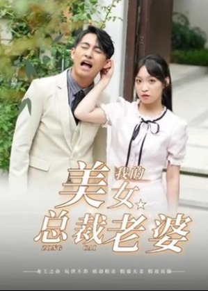 我的美女总裁老婆海报