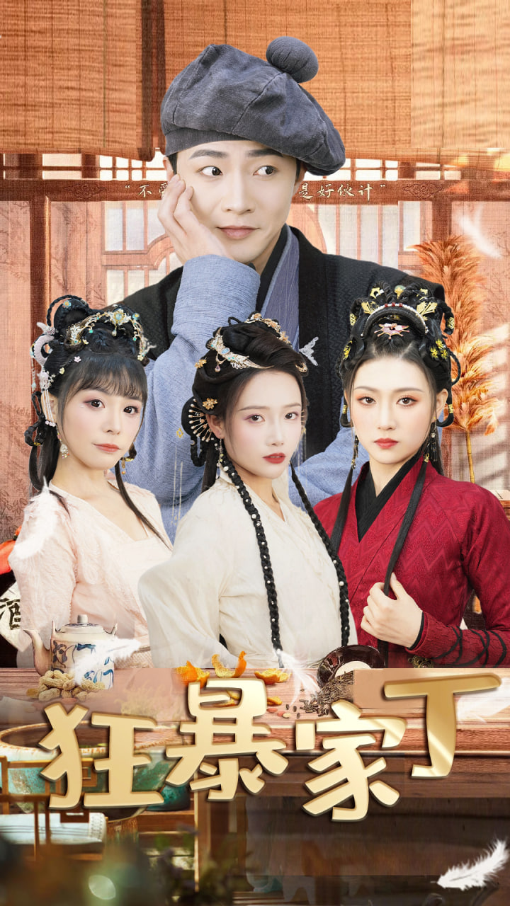 狂暴家丁/飞驰人生之超品家丁海报
