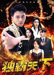 独霸天下海报