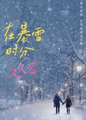 在暴雪时分久久爱海报