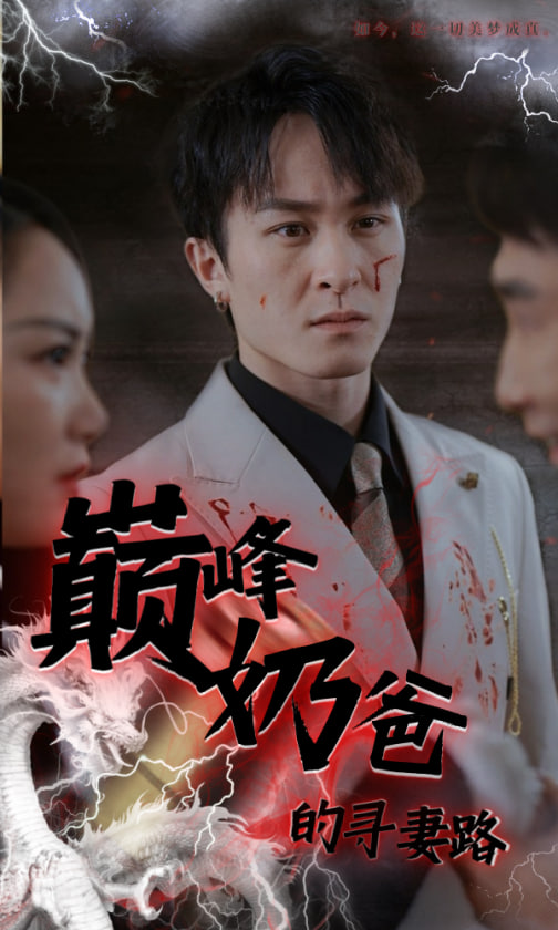 巅峰奶爸的寻妻路海报