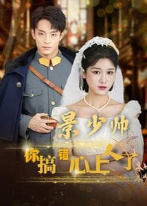景少帅你搞错心上人了海报
