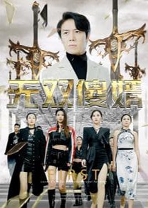 无双傻婿海报