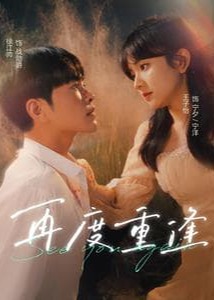 再度重逢海报