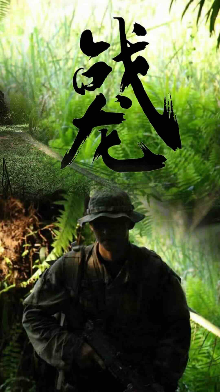 新战龙海报