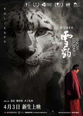 雪豹海报