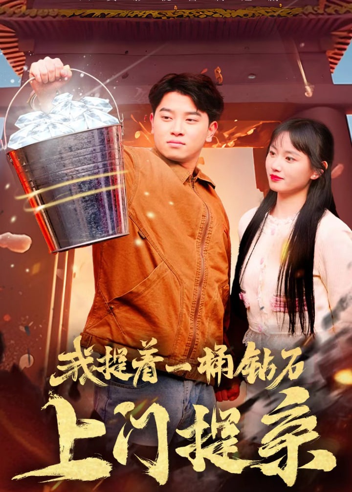 我提着一桶钻石上门提亲海报