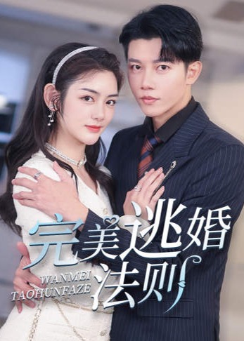 完美逃婚法则海报