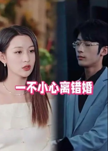 一不小心离错婚海报