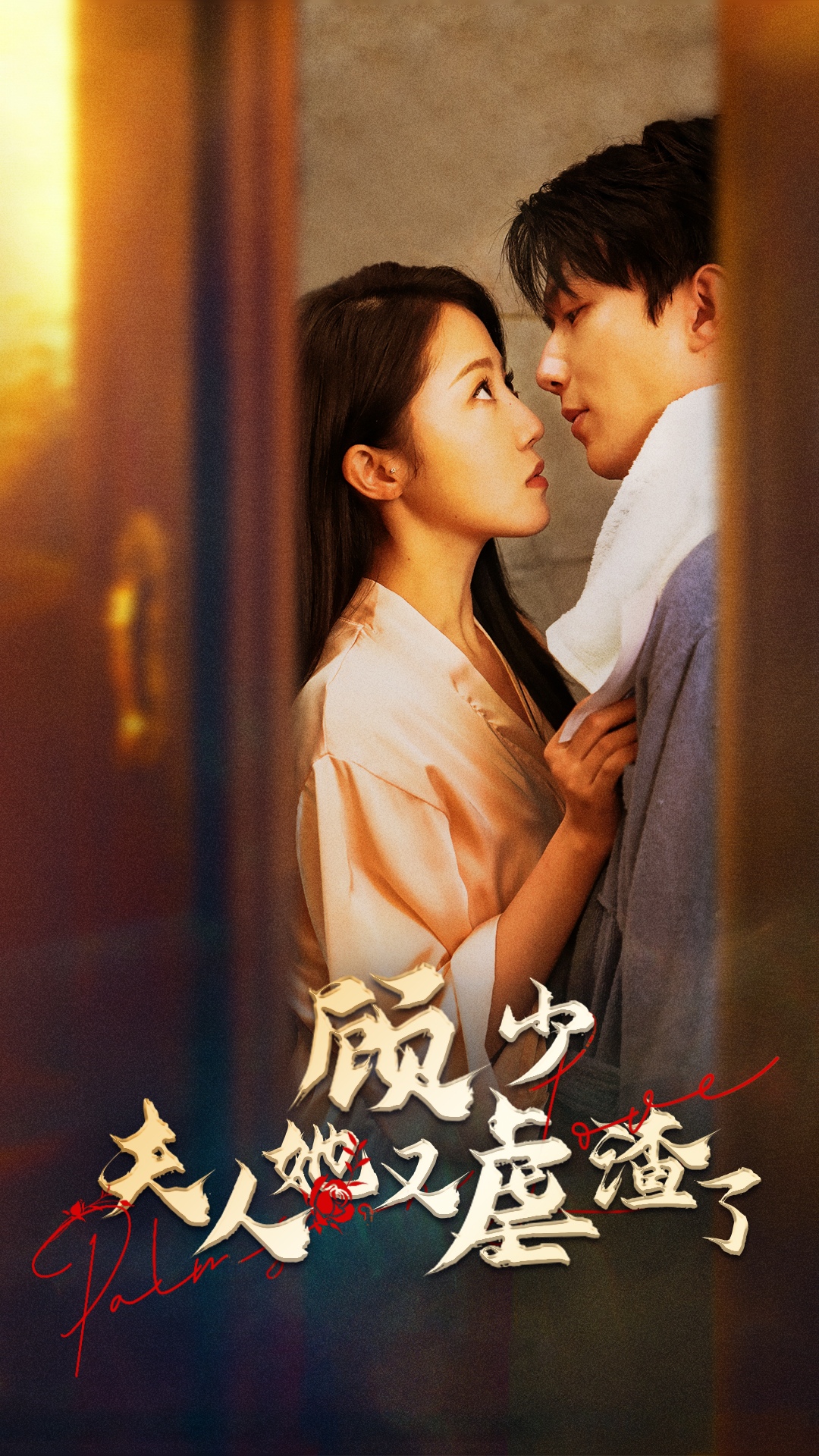 顾少夫人她又虐渣了海报