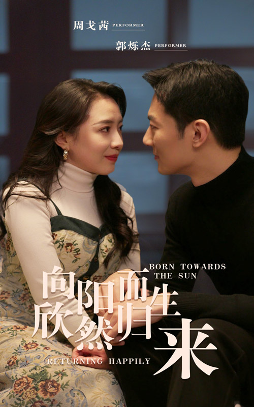 向阳而生欣然归来海报