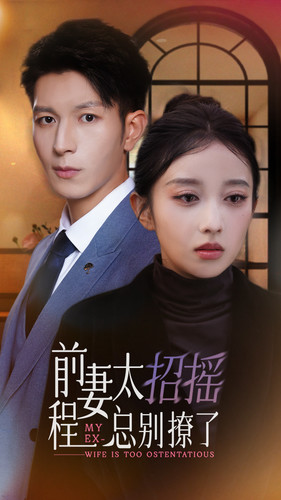 前妻太招摇程总别撩了海报