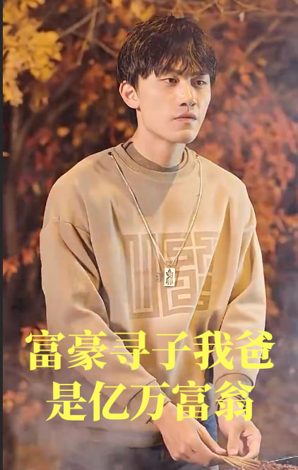 富豪寻子我爸是亿万富翁海报