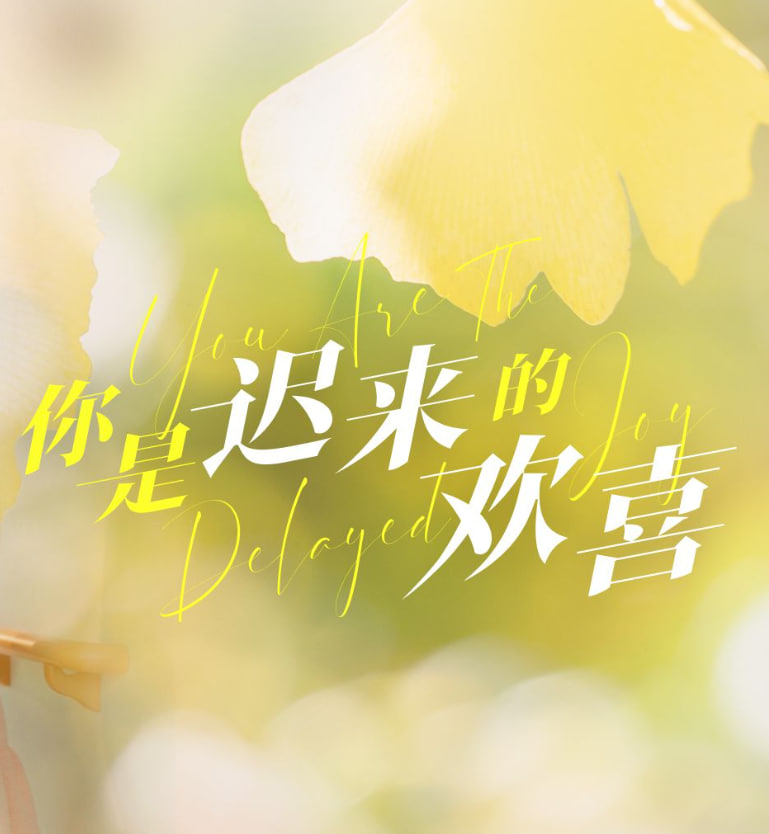 你是迟来的欢喜海报