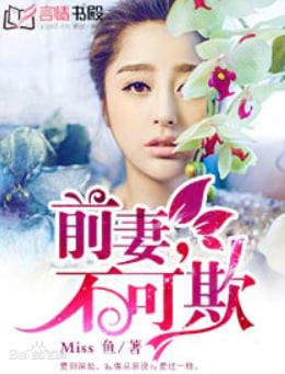 前妻归来不可欺海报