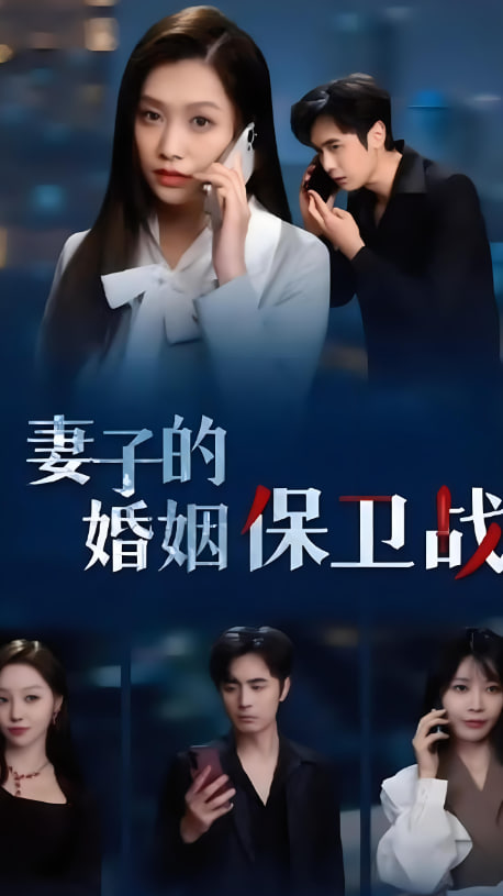 妻子的婚姻保卫战海报
