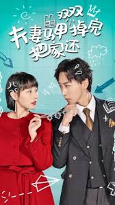 夫妻马甲双双掉完把家还海报
