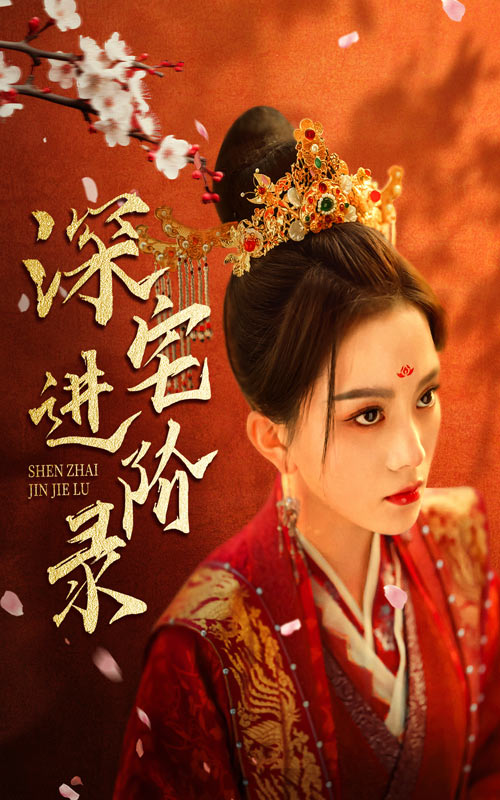 名门进阶录海报